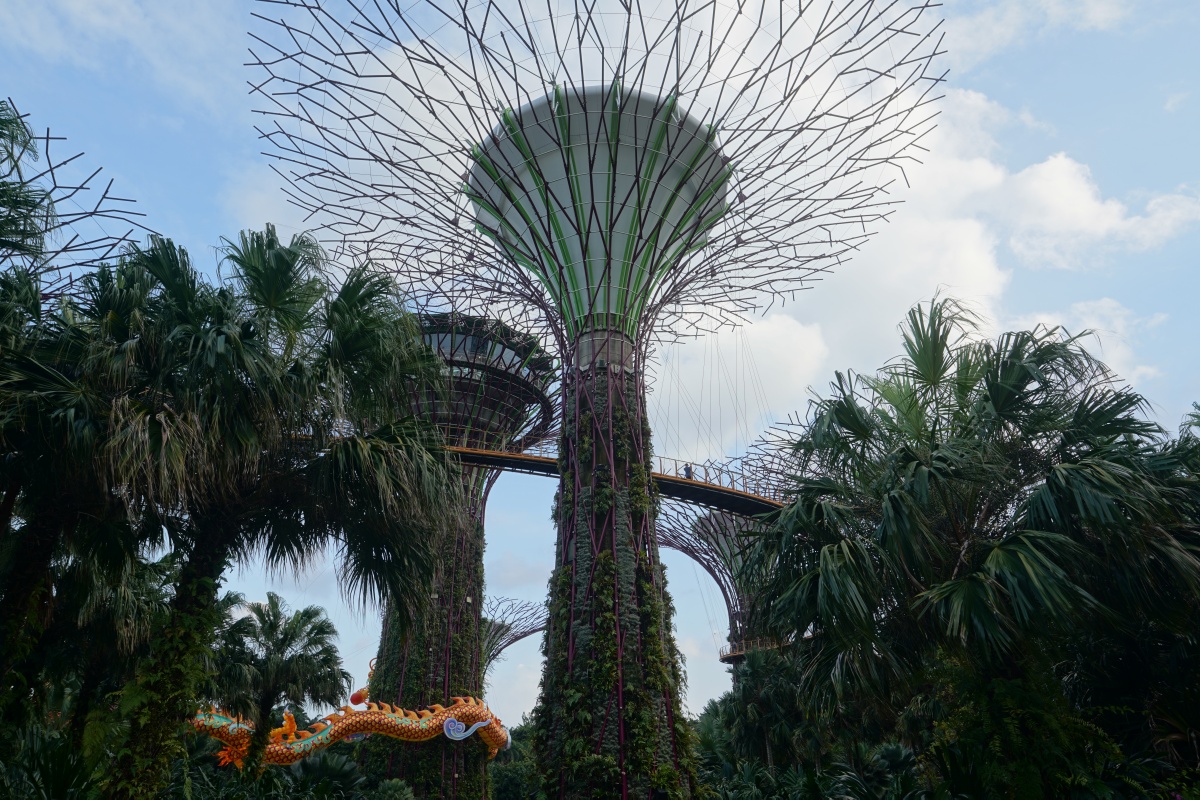 Supertree Grove in Singapur
