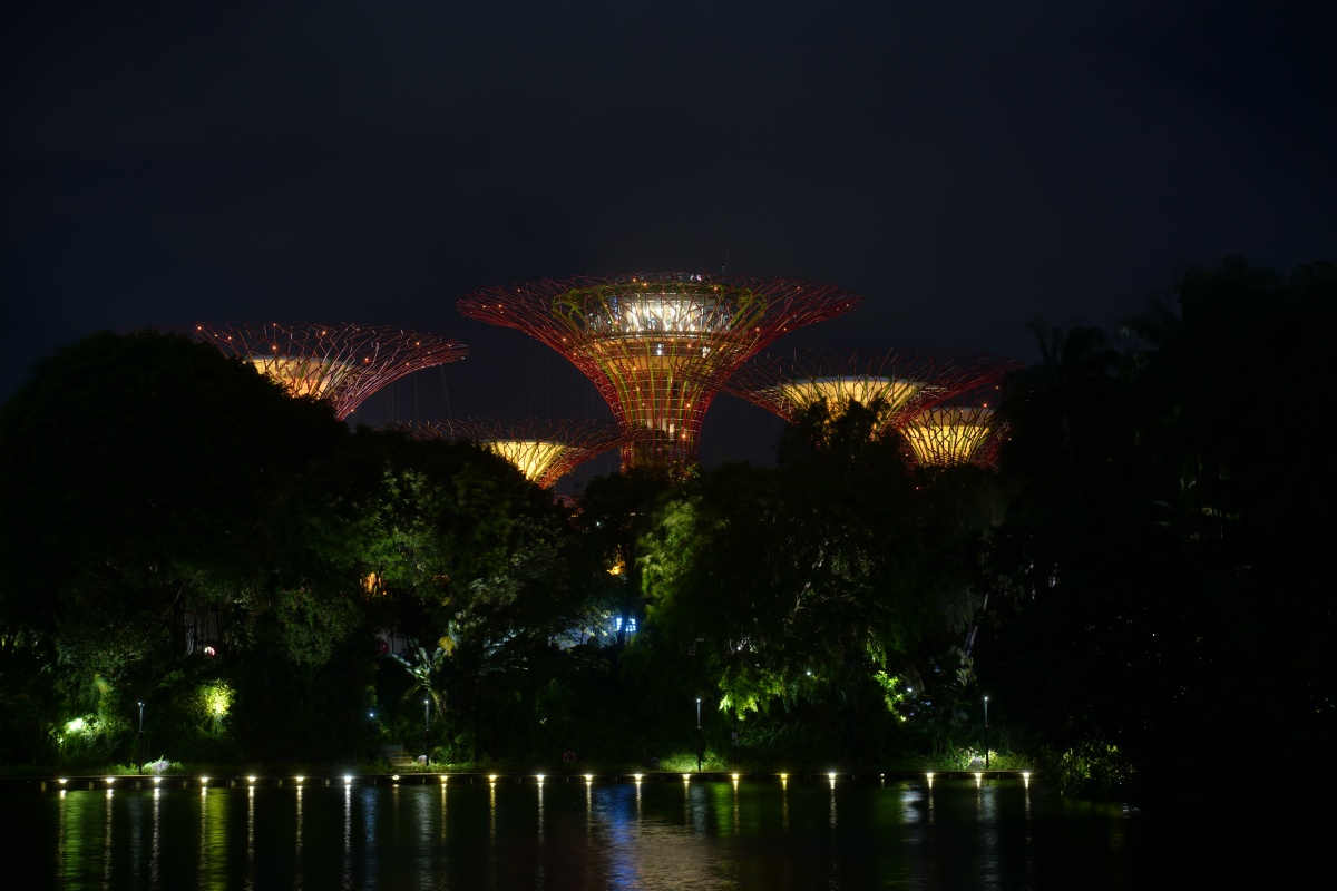 Supertrees in Singapur bei Nacht