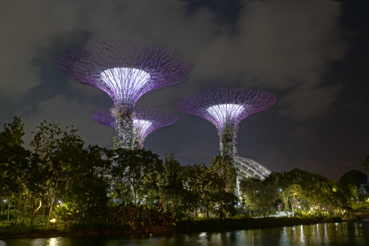 Supertrees in Singapur bei Nacht