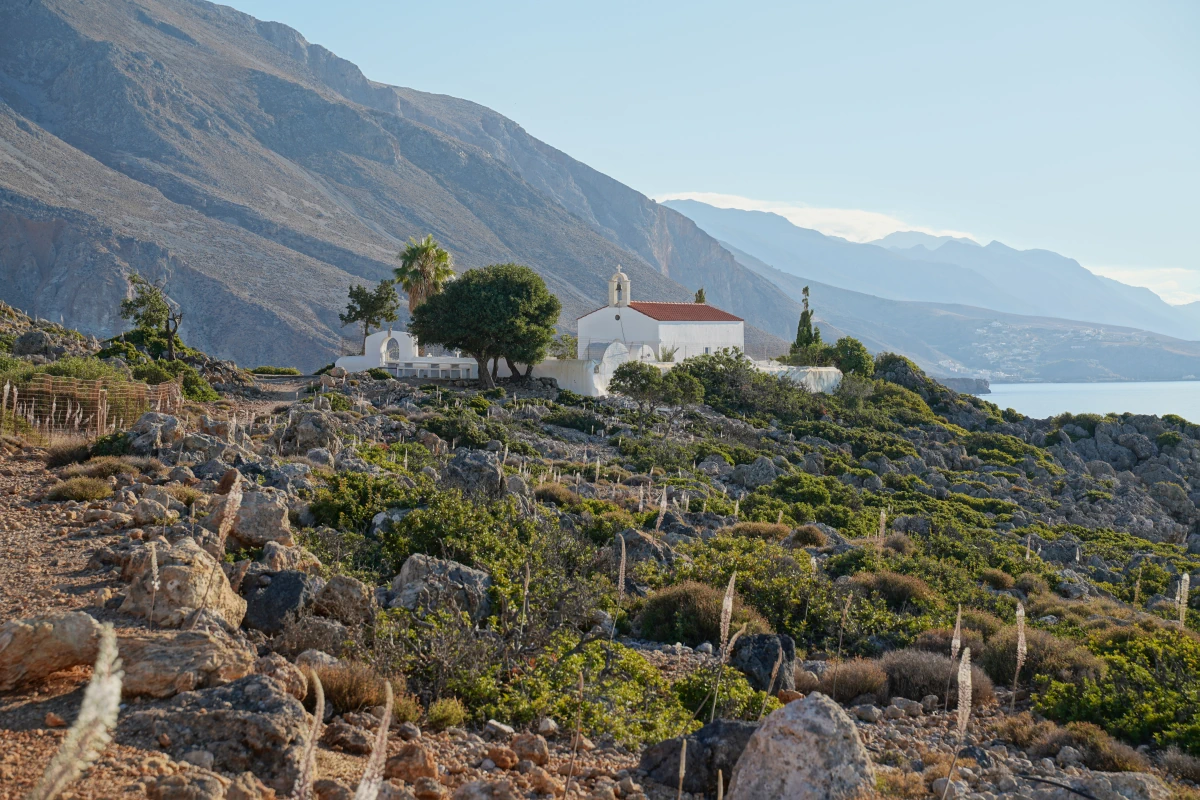 Die Morgensonne beleuchtet die Blüten der Weißen Meerzwiebeln vor der Kirche Ágios Charálambos bei Loutró auf Kreta