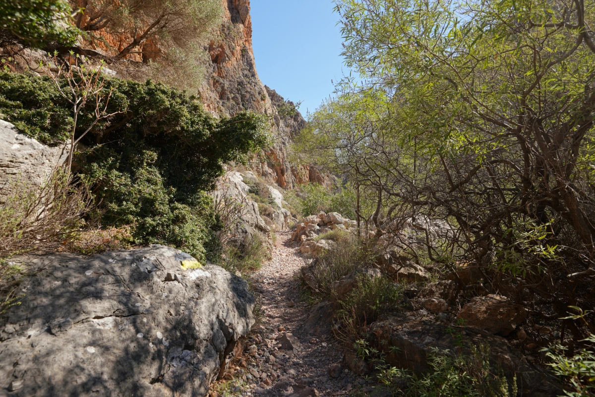 In der Schlucht der Toten bei Zákros auf Kreta