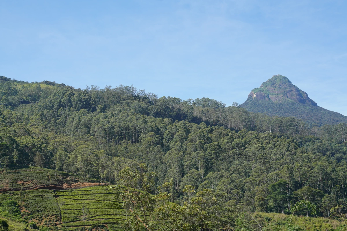 Adam’s Peak bei Tag