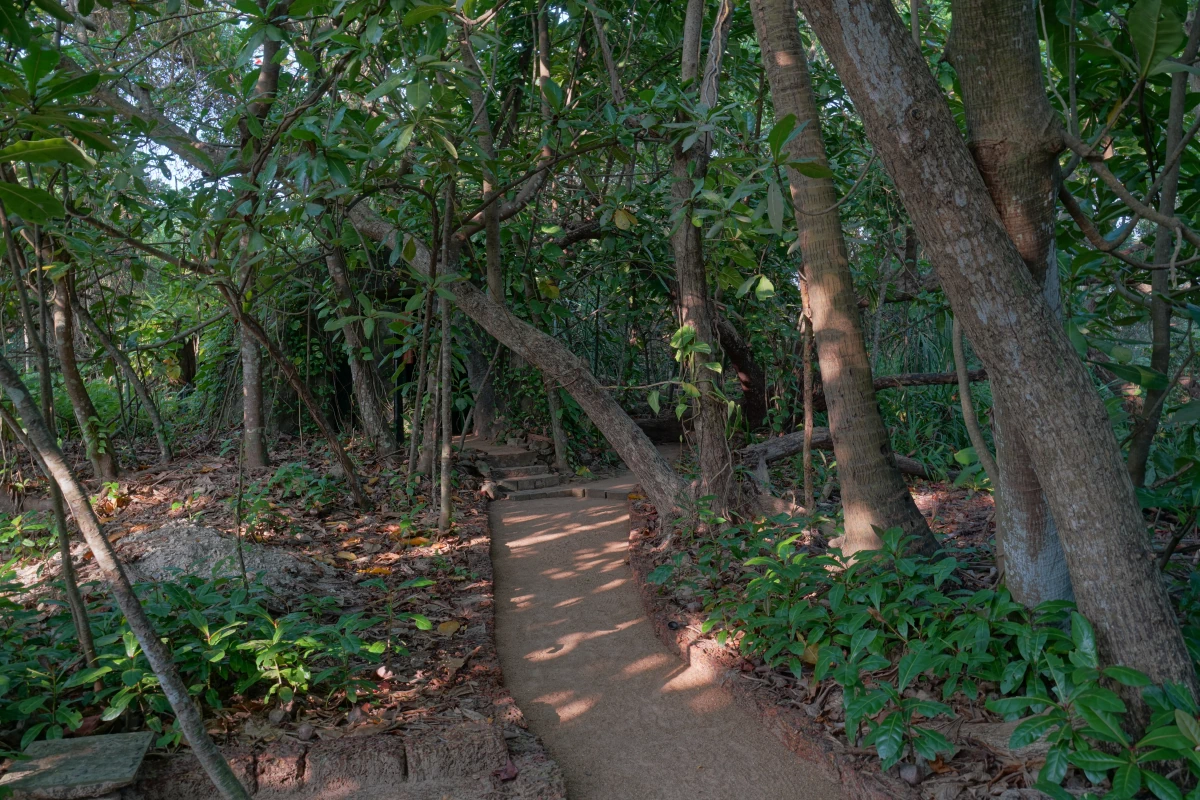 Weg auf Panchakapaduwa Island in Bentota