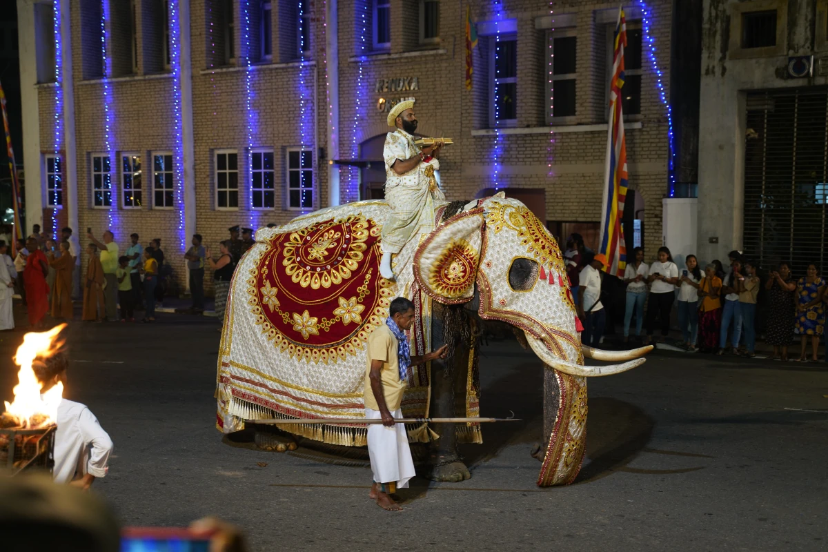 Elefantenreiter bei der Parade Navam Maha Pera vorm Gangaramaya-Tempel in Colombo