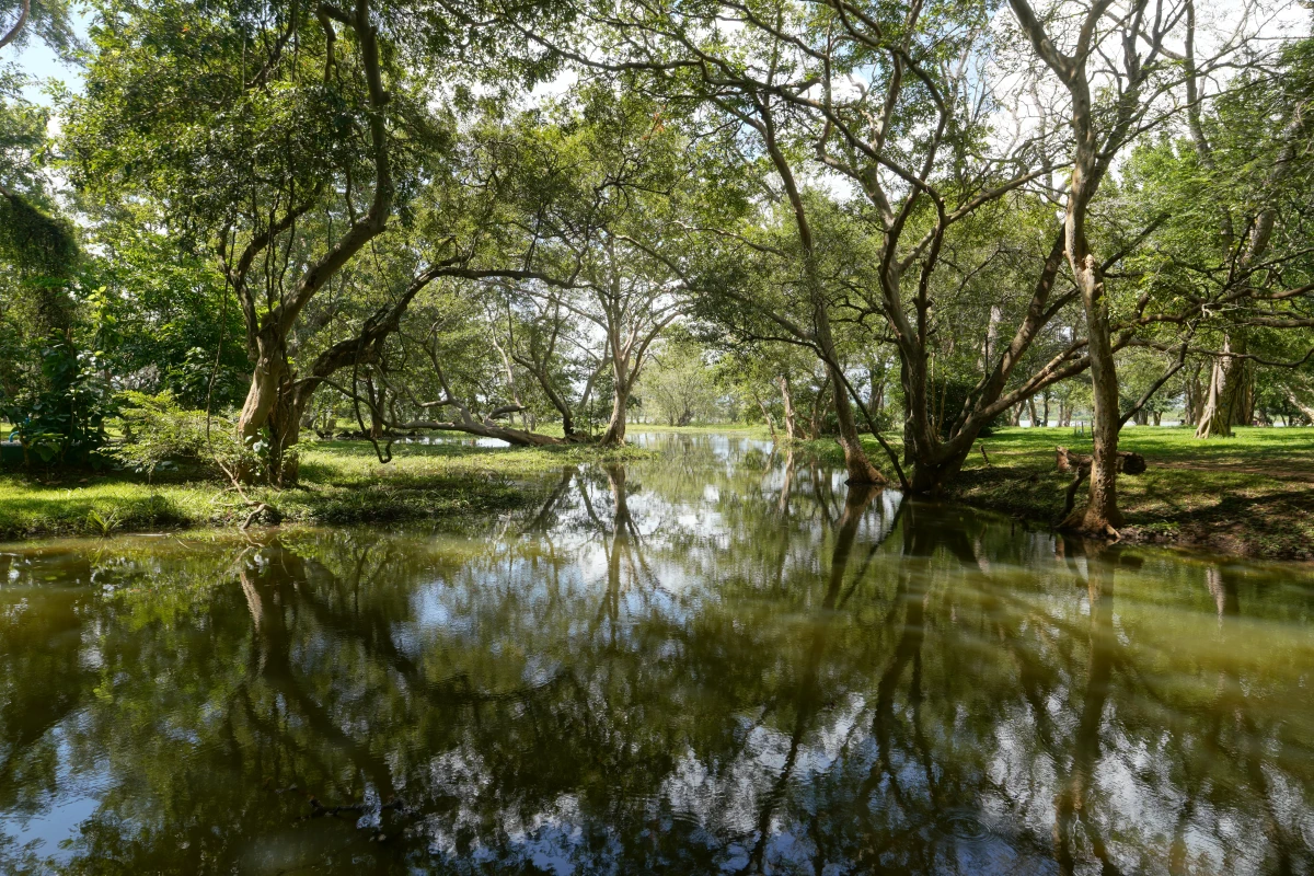 Garten der Cinnamon-Hotels Habarana