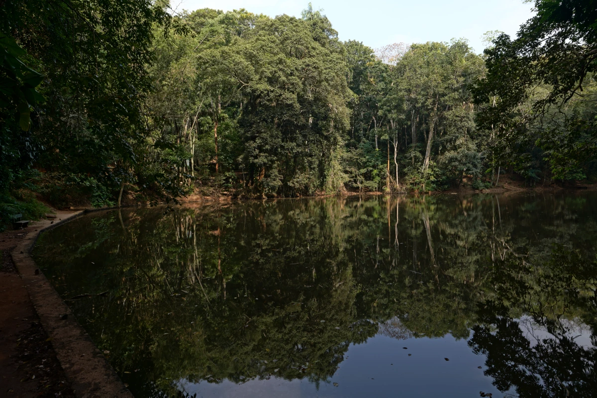 Udawatta-Kele-See in Kandy, direkt beim unteren Eingang