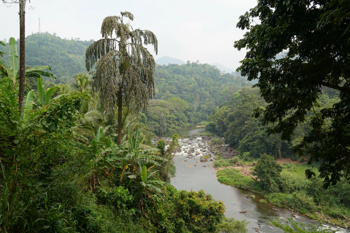 Landschaft beim Rafting-Startpunkt am Kelani-Fluss