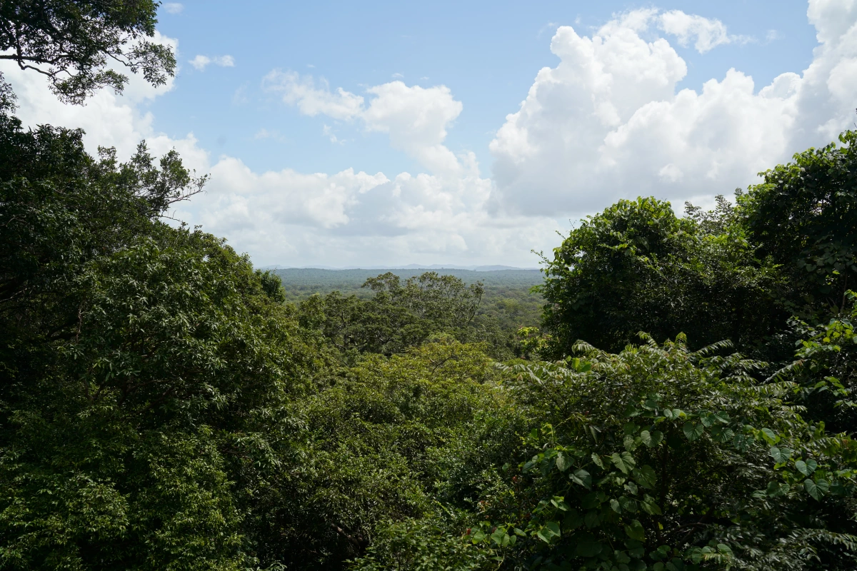 Ausblick von Ritigala