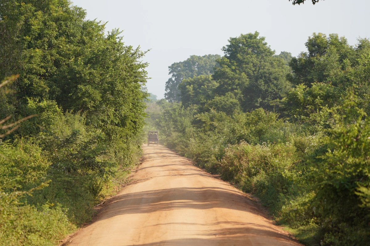 Fahrt durch den Udawalawe-Nationalpark