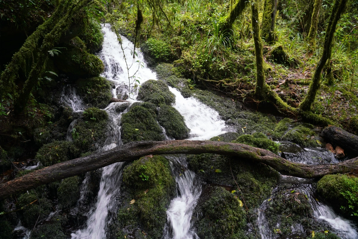 Kleiner Wasserfall an der Marangu Route im Kilimandscharo-Nationalparks