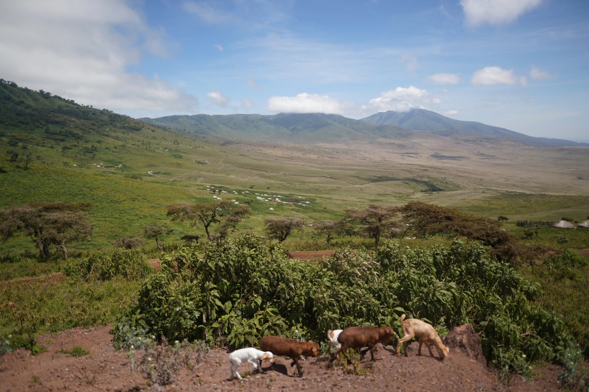 Blick vom Ngorongoro-Kraterrand aus nach Westen (Richtung Serengeti)