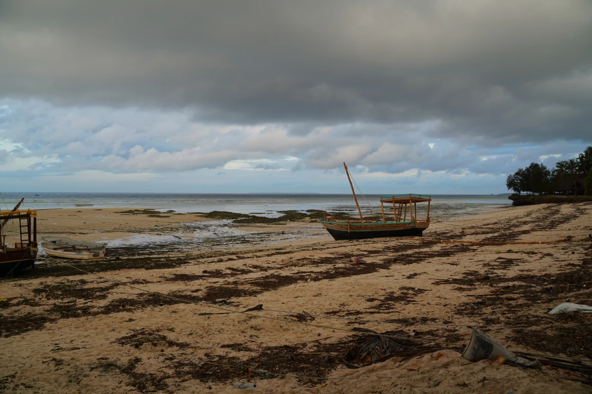 Strand von Dimbani auf Sansibar bei Ebbe