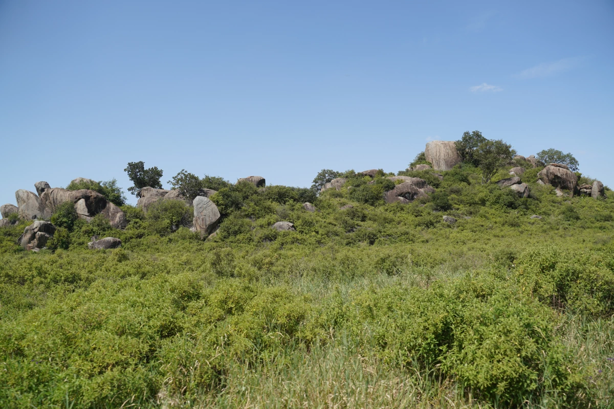 Kopjes in der Serengeti