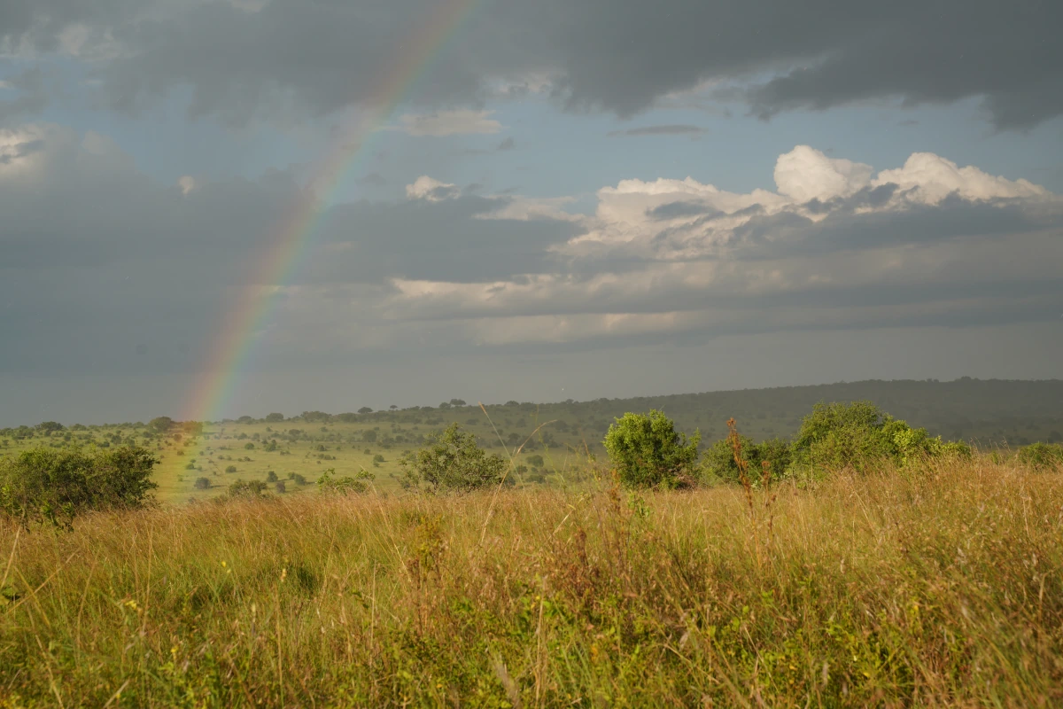 „Serengayti“ – Regenbogen in der Serengeti