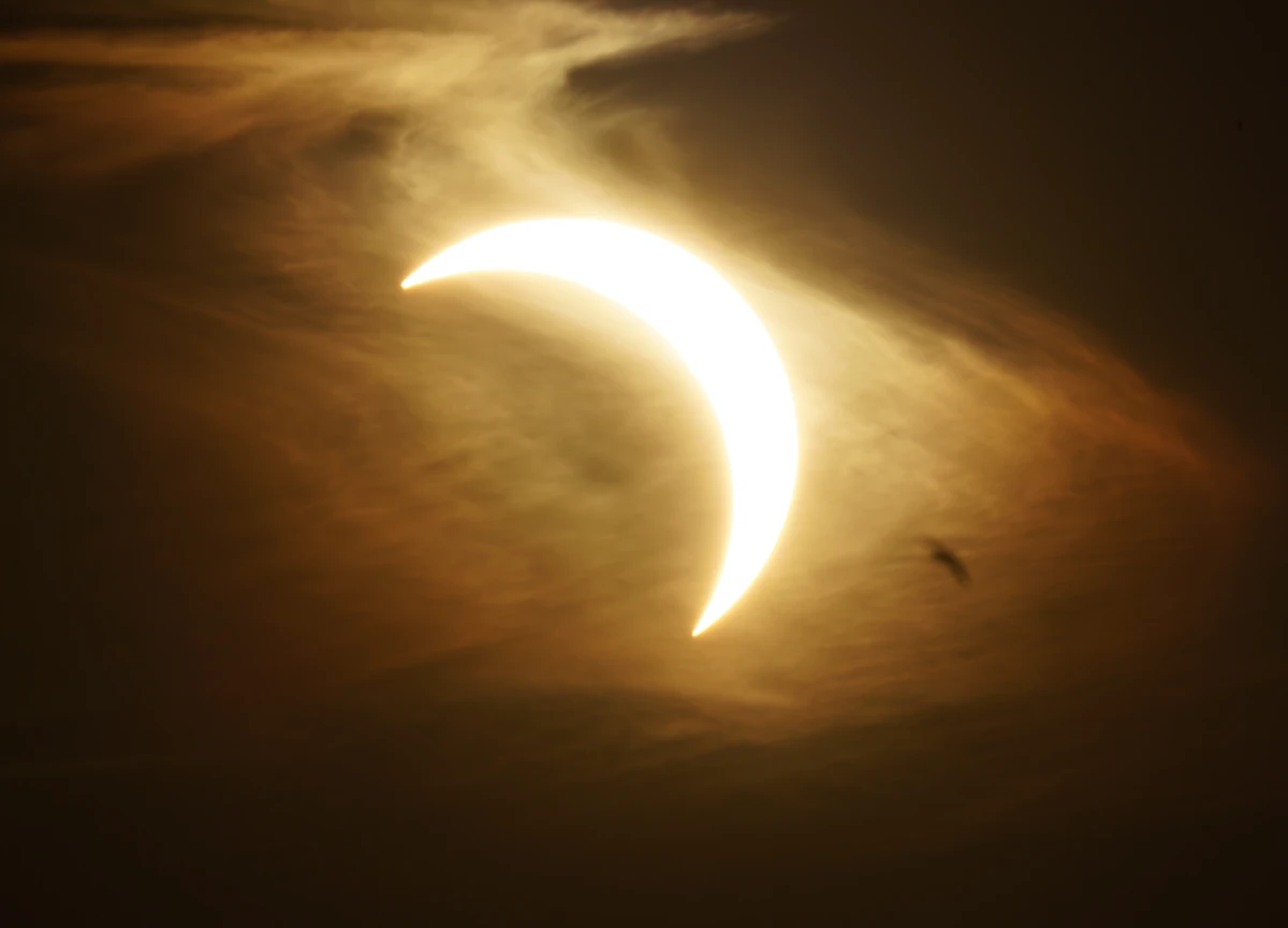 Ein Vogel fliegt neben einer Sonnenfinsternis, leider aber nicht scharf.