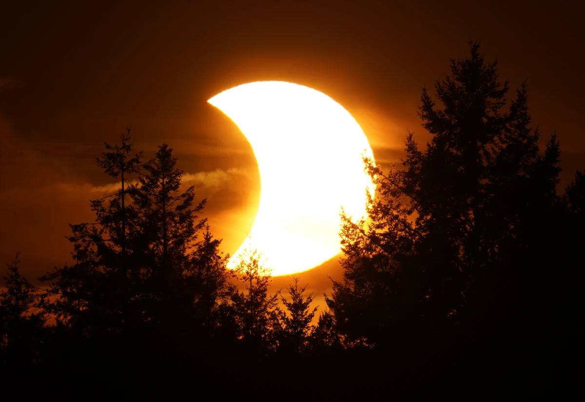 Sonnenfinsternis bei Sonnenuntergang zwischen Bäumen