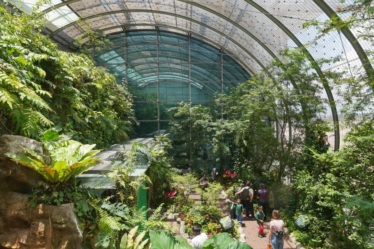Schmetterlingsgarten am Flughafen Changi in Singapur