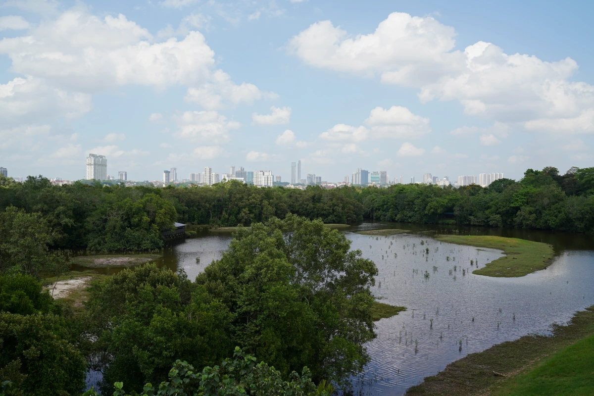 Blick vom Aerie Tower über die Sungei Buloh Wetlands Reserve auf die Stadt Singapur