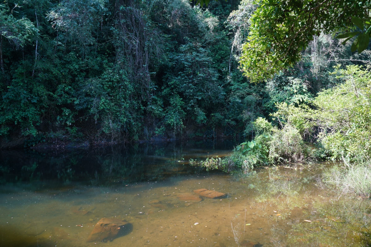 Sok-Fluss im Khao-Sok-Nationalpark