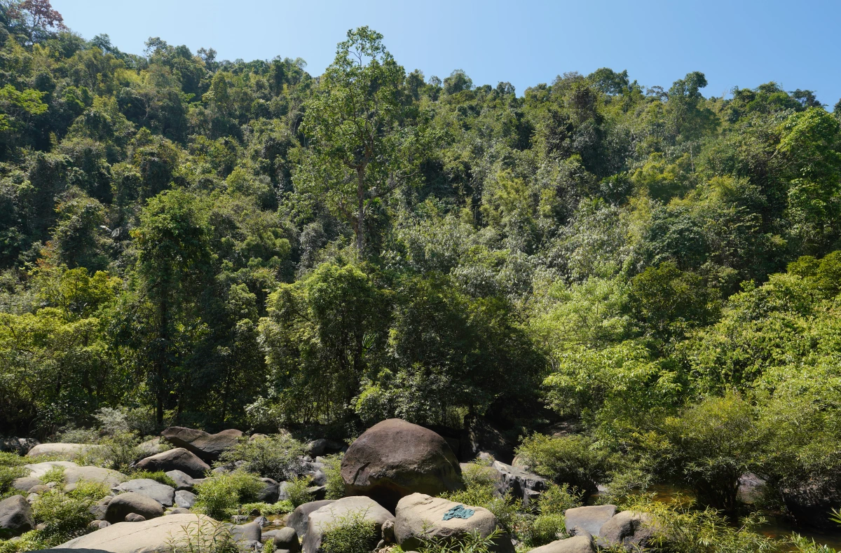 Ton-Kloi-Wasserfall im Khao-Sok-Nationalpark