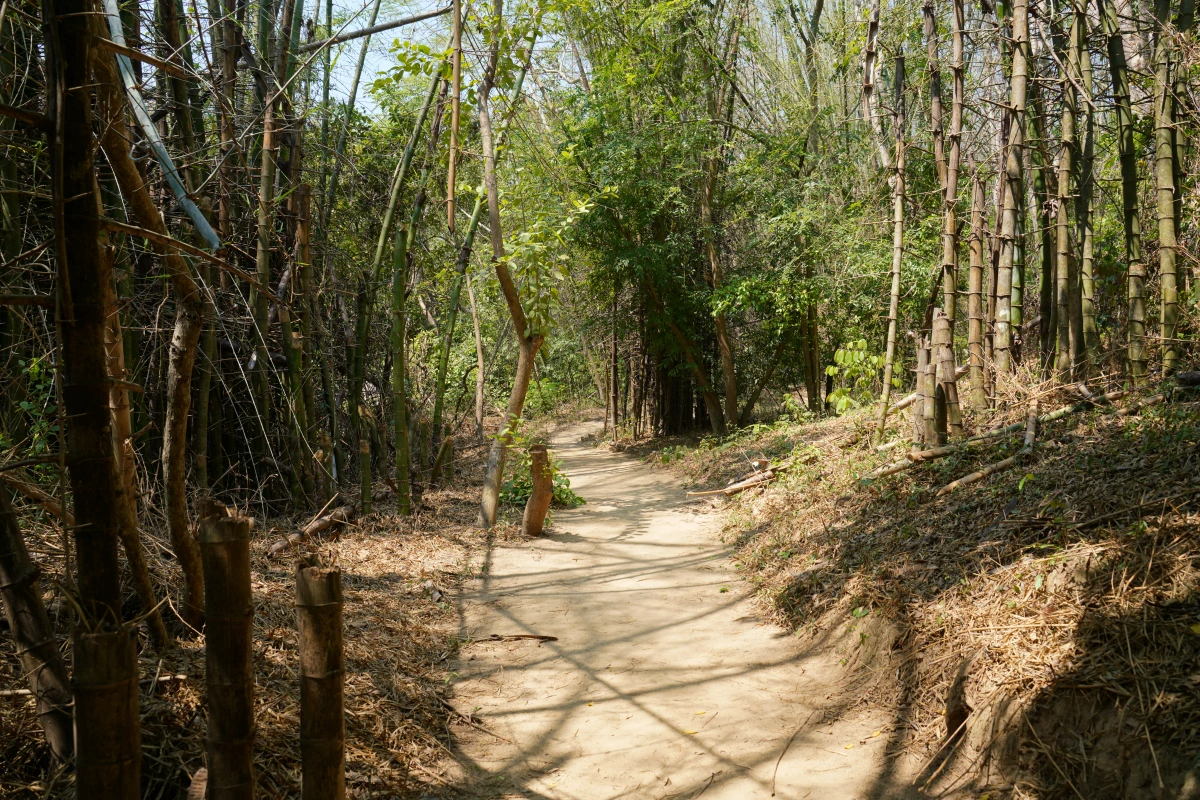 Wald bei Mon am River Kwae