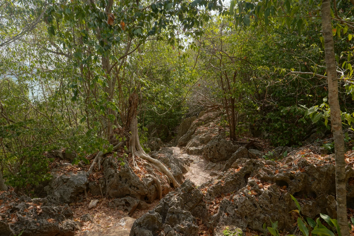 Durch den Dschungel zur Phraya-Nakhon-Höhle